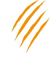 Big Bear Partners logo